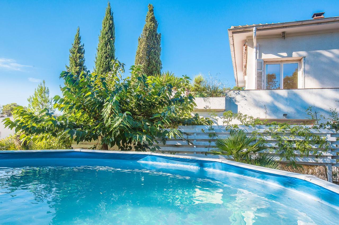 L'Olivier - Climatise Appartement 4 Pers Plus Bebe - 2 Pieces Proche Mer Saint-Raphaël Eksteriør bilde